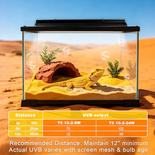 T5 UVB Reptile Light Fixture Combo Kit 24W 10.0 – Complete HO UVB Light for Reptiles with 22.68" Terrarium Hood, Desert UVB Bulb for Bearded Dragon Gecko Tortoise Lizard – Easy to Install and Use - size: 10.0-22.68 in