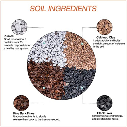 Bonsai Soil by The Bonsai Supply – 4qts. Professional Bonsai Soil Mix | Ready to use| Great for All Bonsai Tree Varieties. - size: 4 Quarts Professional Mix