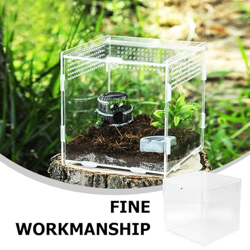 Acrylic Reptile Breeding Box with Ventilation Transparent Feeding Habitat for Spiders Geckos Snakes Pets Safe Eco-Friendly Observation Container