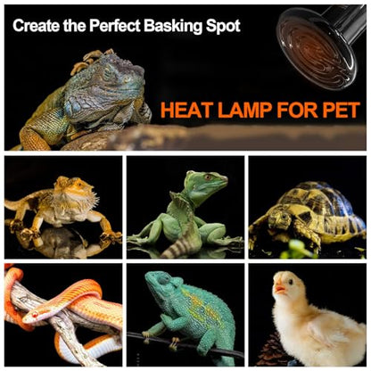BNOSDM 2 Pack 100W Non-Light Emitting Ceramic Heat Emitter, Reptile Heat Lamp Bulbs, Brooder Coop Heater Lamp Bulb for Amphibian Reptiles Lizard Turtle Chicken - color: Pack of 2/Black, size: 100 Watts