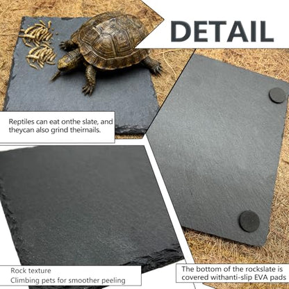 Reptile Basking Platform 2Pcs 6.0''x6.0'' Turtle Rock Plate Slate Feeding Food Dish Bowl Bathing Rest Terrace for Chameleon Lizard Bearded Dragon Gecko Snake Frog Newt (6.0''/15CM) - size: 6.0 inches