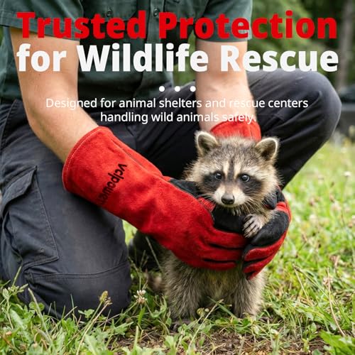 vclpower Animal Handling Gloves Size M Fit for Women & Small Hands Bite Proof Double Leather Reinforced Padding Dog,Cat Scratch,Bird Handling Falconry Gloves Grabbing Reptile Squirrel Snake Bite 16in | Size M Fit for Women & Small Hands - size: M