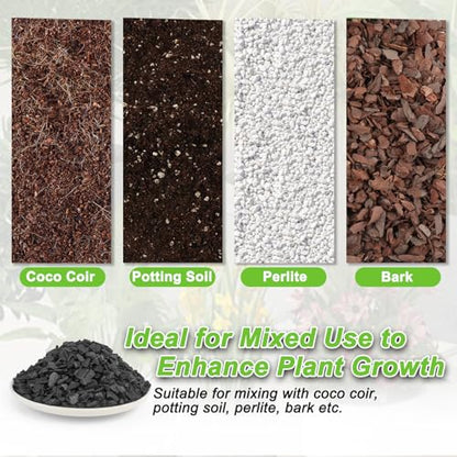 3 Quarts Horticultural Charcoal for Plants-Plant Charcoal Soil Amendment for Potting Indoor Plants, Succulent, Paphiopedilum, Bonsai, Terrarium,and Gardening - size: 3 Quarts