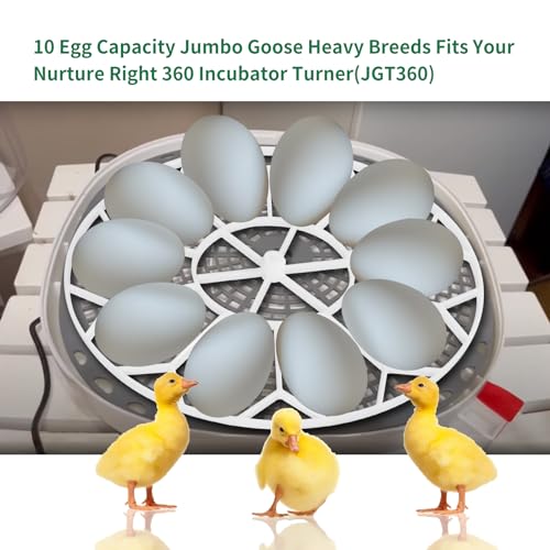 10 Egg Capacity Jumbo Goose Heavy Breeds Tray Fits Nurture Right 360 Incubator Turner, White (JGT360)