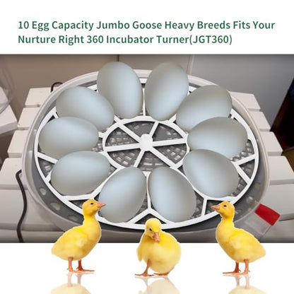 10 Egg Capacity Jumbo Goose Heavy Breeds Tray Fits Nurture Right 360 Incubator Turner, White (JGT360)