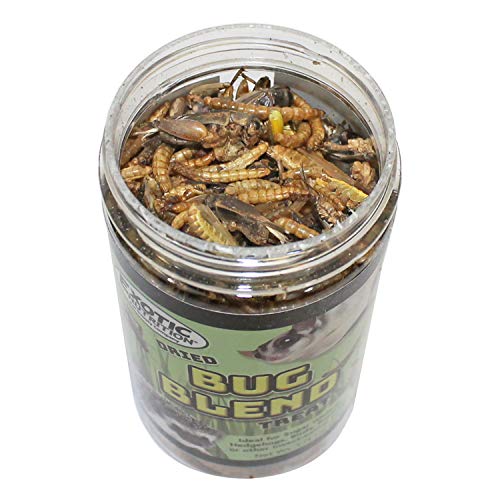 Bug Blend - Healthy High-Protein Dried Insect Treat - Crickets, Mealworms, Grasshoppers - Sugar Gliders, Hedgehogs, Squirrels, Chickens, Skunks, Opossums, Marmosets, Parrots, Birds (3.4 oz.) - size: 3.4 Ounce (Pack of 1)