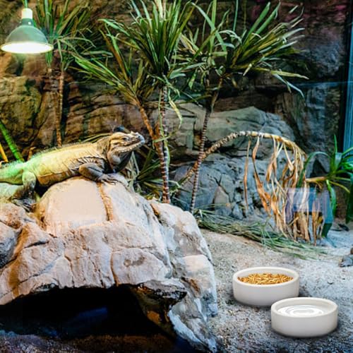 Escape-Proof Reptile Food Dish Bowl, Ceramics Small Animal Bowls for Lizard Frog Snake Turtle Gecko Hamster Food Bowl for Anti Living Foods Escape, Reptile Water Dish (M,2.73inches) - size: M,2.73inches