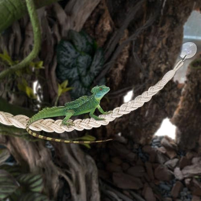 MiOYOOW Hermit Crab Rope Toys, 2PCS Hanging Hermit Crab Vines Toys with Suction Cups, Reptile Tank Terrarium Accessories for Lizards Geckos Snakes Hermit Crabs Spiders