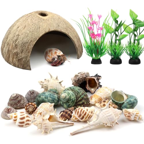 QUOZUO Hermit Crab Shells Natural Coconut Shell Hut Artificial Plants, 22 PCS Hermit Crab Supplies Seashells for House Hermit Crab Tank Habitat