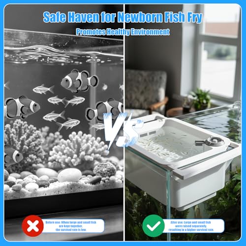 Aquarium Fry Tray & Breeding Box Kit, Adjustable 3D-Printed Breeding Tray (9"-13.5") with Foam Filtration, Safe Enclosure for Newborn Fish Fry, Fits 10-20 Gallon Fish Tanks