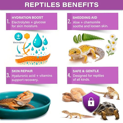 Gargeer 'ReptiShed' Shedding Aid Soak Powder for Reptiles | Stuck Shed Remover for Dragons, Geckos, Lizards, Snakes | Aloe, Chamomile, Hyaluronic Acid | Bath Supplement | Made in the USA. Enjoy!