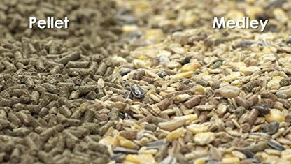 Kaytee Food from The Wild Natural Pet Rabbit Food, 4 Pound - size: 4 Pound (Pack of 1)
