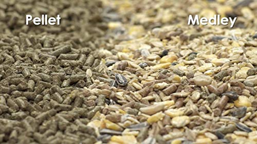 Kaytee Food from The Wild Natural Pet Rabbit Food,4 Pound,(Pack of 2) - size: 4 Pound (Pack of 2)