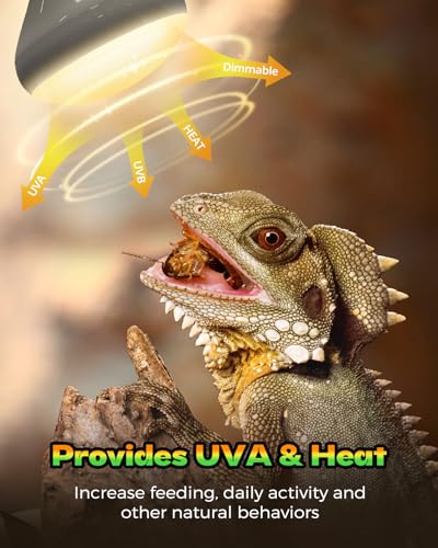 Reptile Heat Lamp 2 Pack, 75W Heat Lamp Bulbs for Reptiles, Amphibians Basking Heat Lamp Bulbs, UVA Daylight Basking Light for Reptiles, Bearded Dragon, Lizard, Turtle, Chicken