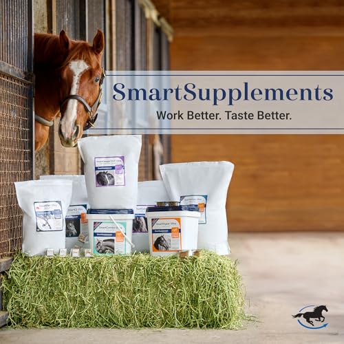 SmartEquine SmartLytes, 3.7 lb, 56 Servings | Horse Electrolyte Powder Supplement | Encourages Hydration, Replenishes Electrolytes | No Added Sugar | Cherry Flavor