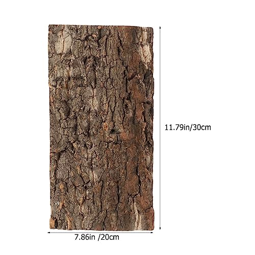 Ipetboom Reptile Cork Bark Background Natural Terrarium Decor for Reptile Habitat Safe Cork Bark Backdrop for Gecko Lizard Fish Tank Create Lifelike Environment