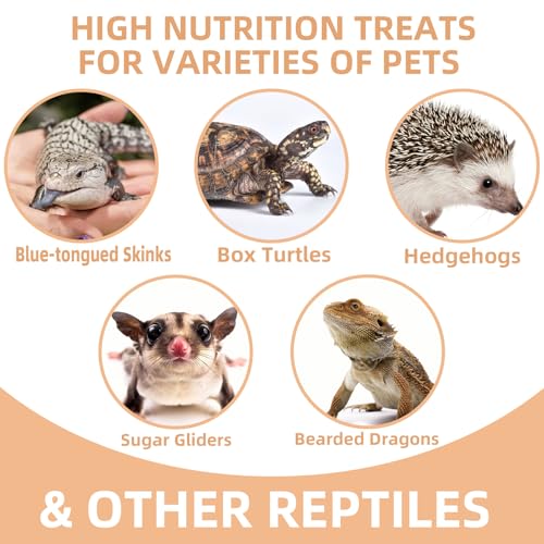 Freeze Dried Crickets – 2.8 Oz High Protein Freeze Dried Crickets, Food for Reptiles, Bearded Dragons, Lizards, Geckos, Birds, Fish,Hedgehogs, Bearded Dragon Food