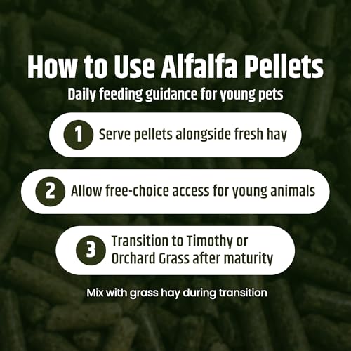 High Desert Delight Alfalfa Pellets, Protein Rich Small Animal Food for Young Rabbits Guinea Pigs and Small Pets, Natural Fiber Alfalfa Hay Pellets for Digestive Health, Fresh Hand Packed 63 oz Bag - size: 4 Pound (Pack of 1)