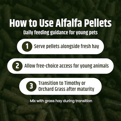 High Desert Delight Alfalfa Pellets, Protein Rich Small Animal Food for Young Rabbits Guinea Pigs and Small Pets, Natural Fiber Alfalfa Hay Pellets for Digestive Health, Fresh Hand Packed 63 oz Bag - size: 4 Pound (Pack of 1)