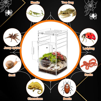 Acrylic Jumping Spider Enclosure Tarantula Enclosure, Full Transparency Spider Enclosure Spider Terrarium Jumping Spider Habitat, Insect Terrarium Bug Enclosure, Arboreal Tarantula Enclosure