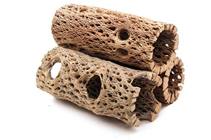 3 to 48 Inch All Natural Teddy Bear Cholla Wood Extra Hollow Large Untreated Organic Aquarium Driftwood Decoration Chew Toy Shrimp Crab Multi-Quantity (3 Pieces, 6 inch) - size: 3 Pieces, 6 inch