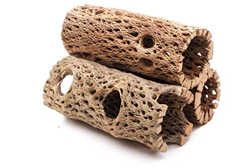 3 to 48 Inch All Natural Teddy Bear Cholla Wood Extra Hollow Large Untreated Organic Aquarium Driftwood Decoration Chew Toy Shrimp Crab Multi-Quantity (3 Pieces, 6 inch) - size: 3 Pieces, 6 inch