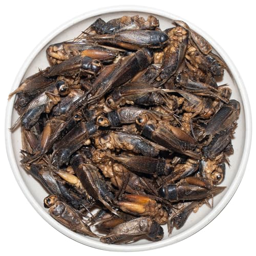 Freeze Dried Crickets – 2.8 Oz High Protein Freeze Dried Crickets, Food for Reptiles, Bearded Dragons, Lizards, Geckos, Birds, Fish,Hedgehogs, Bearded Dragon Food