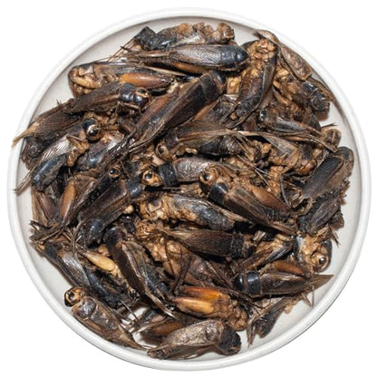 Freeze Dried Crickets – 2.8 Oz High Protein Freeze Dried Crickets, Food for Reptiles, Bearded Dragons, Lizards, Geckos, Birds, Fish,Hedgehogs, Bearded Dragon Food