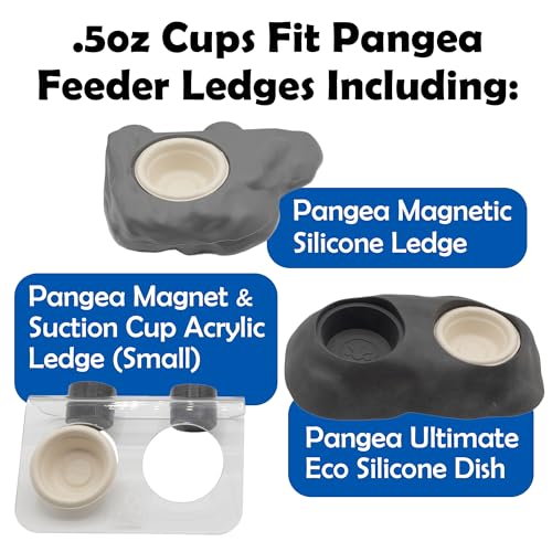 Pangea Small 0.5oz Paper Gecko Food & Water Cups, 100 ct.