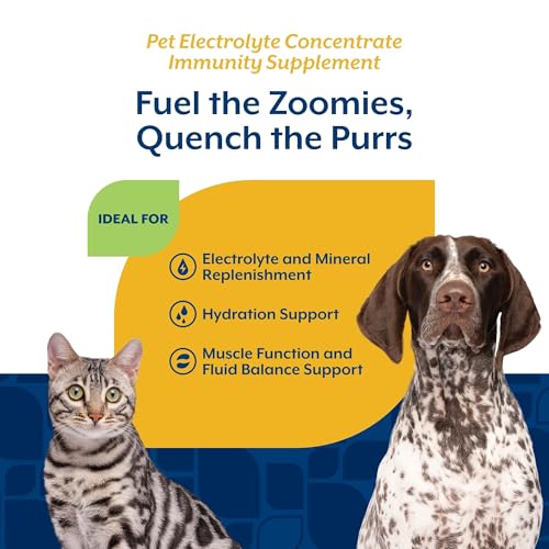 NaturVet Pet Electrolyte Concentrate for Dogs and Cats, 16 oz Liquid Concentrate, Made in The USA with Globally Source Ingredients