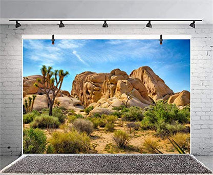Leyiyi 5x4ft Joshua Tree National Park Photography Backdrop Western Sky Desert Cowboy Weathering Rock Drought-Tolerant Plant Cactus Terrarium Background Aquarium Wallpaper Polyester Photo Studio Prop - color: Desert3, size: 5x4ft-P
