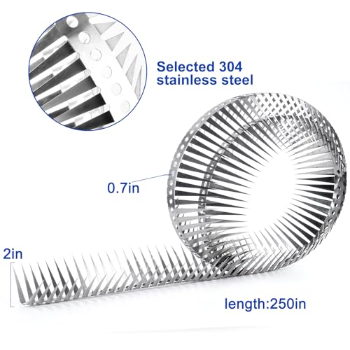 Bird Spikes - Stainless Steel Fence Spikes for Pigeons, Raccoons, Snakes - Deterrent Defender (250inch) - style: 250inch