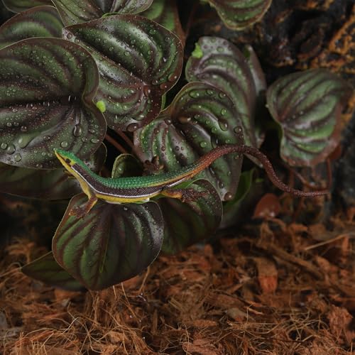 IBWell Fake Reptile Plants for Terrarium, Decor, Turtle Tank with Suction Cup