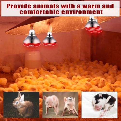 VIHOSE 8 Pack Infrared Heat Lamp for Chickens 150 Watt 120v Thickened Red Heat Lamp Bulbs for Food Service, Reptile, Pet, Bathroom, Light Therapy Use E26 Base - style: 150 Watt