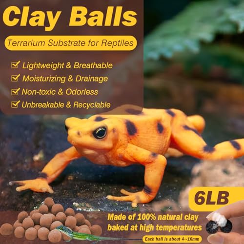 ZeeDix 6 LBS Reptile Substrate Leca Balls - 100% Organic Expanded Clay Pebbles, Ideal Bioactive Terrarium Clay Balls Substrate for Reptile Terrarium Tank, Bearded Dragon, Tortoise, Gecko, Snake & Frog - color: 6LBS
