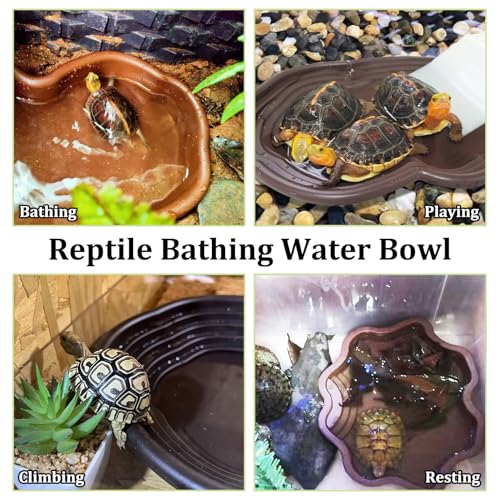 Reptile Bathing Pool 7 Pcs Tortoise Water Dish with Ramp Extra Large Turtle Feeding Bowl with Steps Reptile Food & Water Dishes 2-in-1 Gecko Habitat Decoration Accessories Lizard Bath Tub