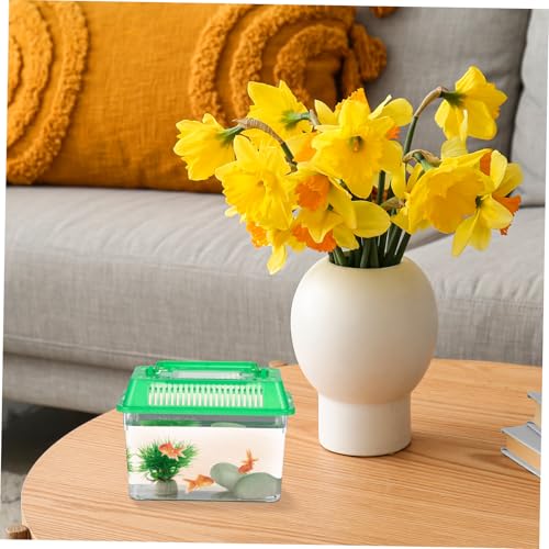 Mipcase 5pcs Portable Handheld Fish Tank Mixed Color Transparent Turtle Feeding Box for Small Pets Lightweight Plastic Breeding Aquarium Ventilation Design Easy to Clean and Operate