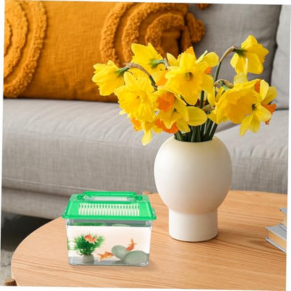 Mipcase 5pcs Portable Handheld Fish Tank Mixed Color Transparent Turtle Feeding Box for Small Pets Lightweight Plastic Breeding Aquarium Ventilation Design Easy to Clean and Operate