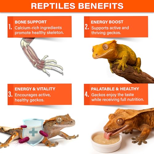 Gargeer 'Picky Geck' Energy Nectar - Premium Crested Gecko Food | Calcium-Rich Fruit Formula for Bone Strength & Energy Support | No Fillers - Only Premium Ingredients | 2oz | Made in USA - size: 2 Ounce (Pack of 1)