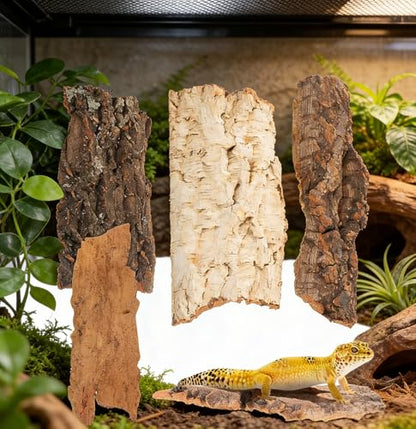 Cork Bark for Reptiles, 4PCS Cork Terrarium Background, Pet Reptile Bark Bearded Dragon Tank Accessories for Bearded Dragon Lizard Geckos Tortoise, 3.2 to 5.5Inch