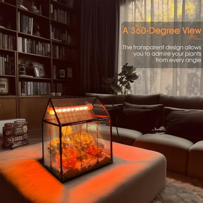 Plant Terrarium Kit with Grow Light, Rifny Large Glass Terrarium Jar with Absorbent Mat and Lid for Venus Fly Trap Succulent Live Air Plants Indoor Home Office Decor (Black, 8.9 x 5.9 x 9.9 inch) - size: Black-Large with Plant Light