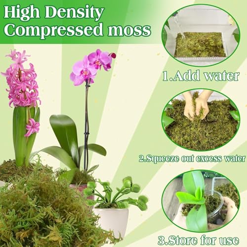 Halatool 2.2LBS Forest Green Moss for Indoor Potted Plants, Orchid Potting Mix, Indoor Potting Plant Moss for Repotting Terrariums Garden Reptiles - size: 2.2lb