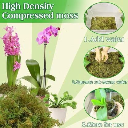 Halatool 2.2LBS Forest Green Moss for Indoor Potted Plants, Orchid Potting Mix, Indoor Potting Plant Moss for Repotting Terrariums Garden Reptiles - size: 2.2lb