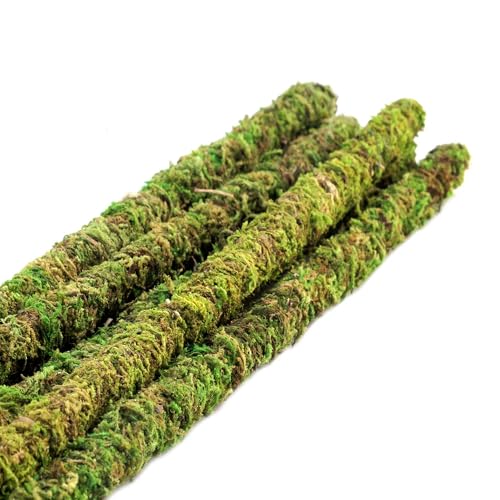 Galápagos (05320) Mossy Terrarium Sticks 18" (Pack of 6) - size: 18"