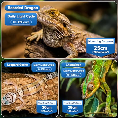 HNRLOY UVB Reptile Light,5Inch UVA UVB LED Heater Lamp Bar for Bearded Dragon, Turtles, Gecko, Snake, Lizard, Adjustable 6/10/12H Timer, Dimmable with 3 Lighting Modes - size: 5Inch