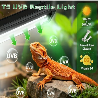 T5 HO UVB Lighting Kit, 8W Terrarium Hood with Detachable Curved Reflector, Desert 10.0 UVB T5 Lamp (24 Watts) - size: 24 Watts