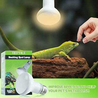 LUCKY HERP 2 Pack 50W Reptile Heat Lamp Bulb (2nd Gen), Amphibian Basking Light Bulb, Reptile Daylight Bulb for Turtle, Bearded Dragon, Lizard Heating Use - color: 2nd Gen 50w Heat Lamp, size: 2nd Gen Reptile Heat Lamp