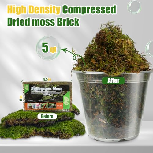 Doter Dried Forest Moss for Plants (10 qt / 2 pcs), Sphagnum Potting Moss for Various Plants, Including Orchids, Carnivorous Plants, Succulents, Garden Flowers, and Reptiles