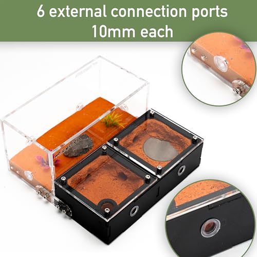 Terra Core Expandable Dual Chamber Formicarium Ant Nest with Starter Kit - size: Terra Core Series-Expandable Dual Chamber