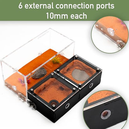 Terra Core Expandable Dual Chamber Formicarium Ant Nest with Starter Kit - size: Terra Core Series-Expandable Dual Chamber